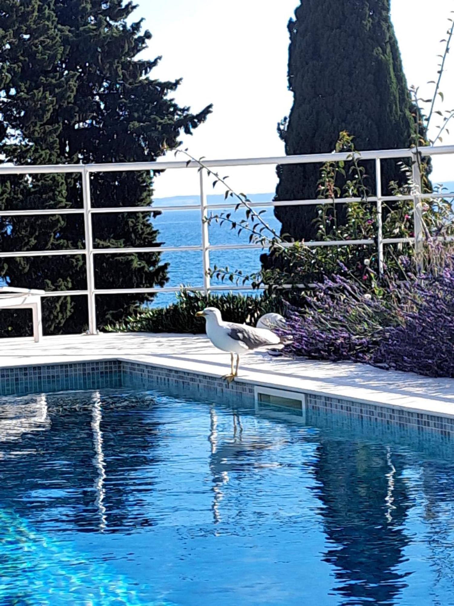 Apartment With Private Pool Split Eksteriør billede